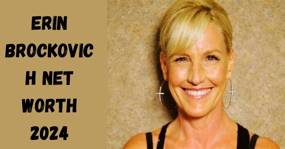 erin-brockovich-net-worth